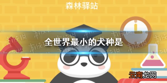 全世界最小的犬种是森林驿站3月6日答案