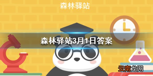 刚出生的火烈鸟宝宝是什么颜色 森林驿站3月1日答案