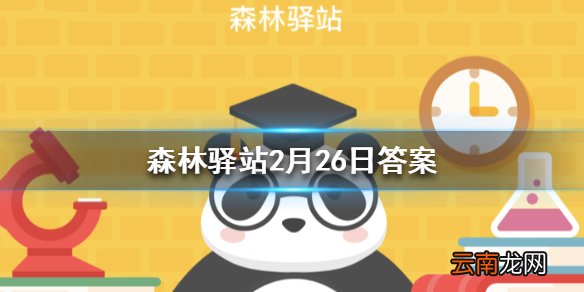 哪种鸟类能下出世上最大的蛋 森林驿站2月26日答案