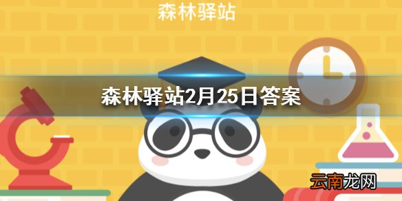 马来语中森林中的人指的还是哪种动物 森林驿站2月25日答案