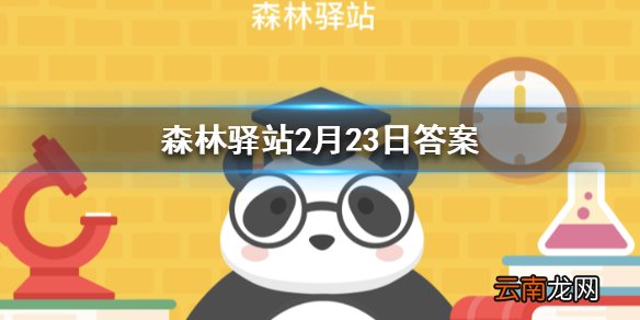 哪个国家拥有最多的野生老虎 森林驿站2月23日答案