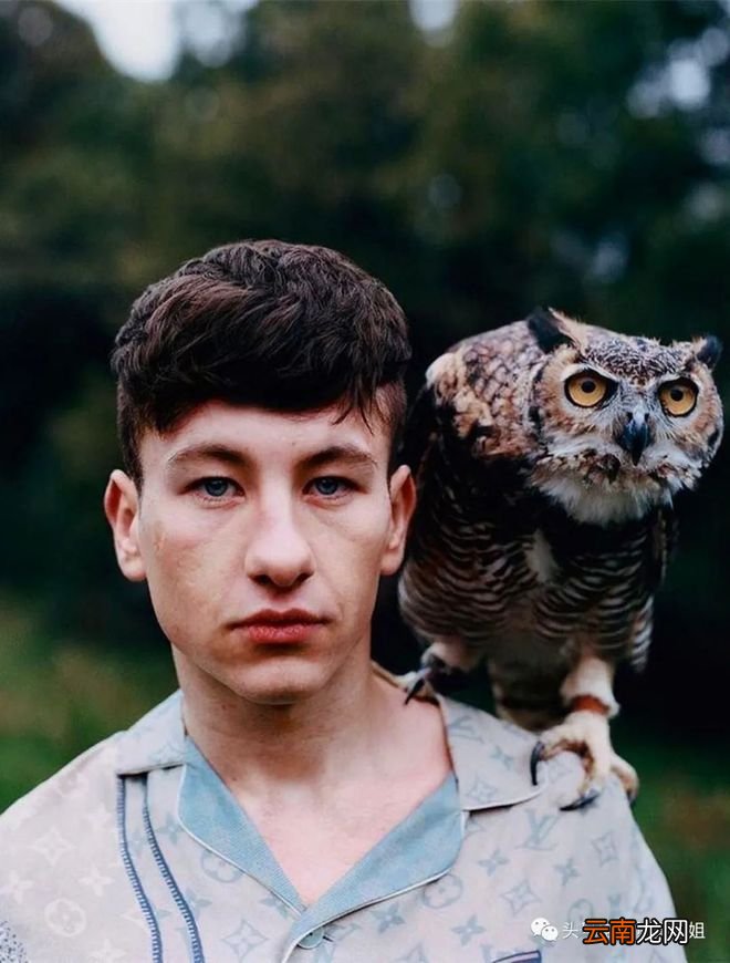 《新蝙蝠侠》最大彩蛋是新版小丑，扮演者被保密，戏份差点被删光