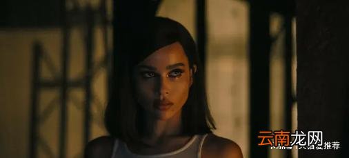 《新蝙蝠侠》成开年爆款，《水门桥》冠军地位不保