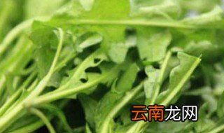 水荠菜和荠菜的区别 水荠菜和荠菜这两者的区别