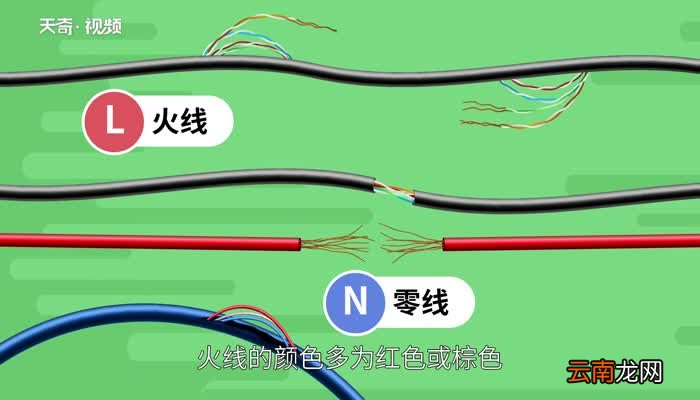 火线是L还是N l和n哪个是火线