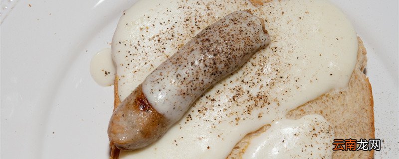 沙司是什么 沙司是什么意思