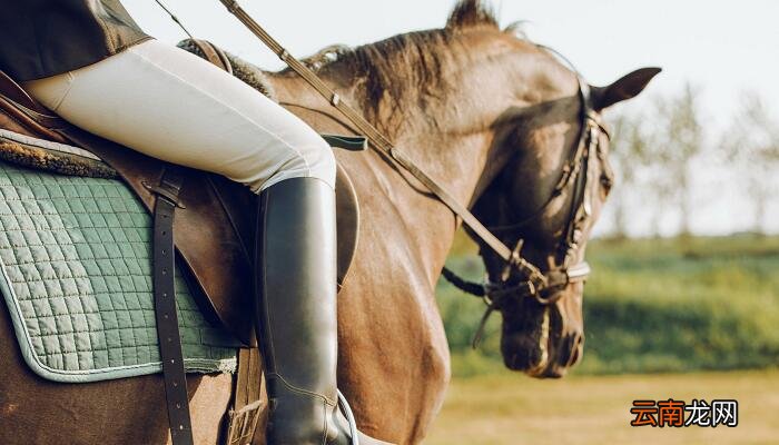 马说中心句 马说本文的中心句