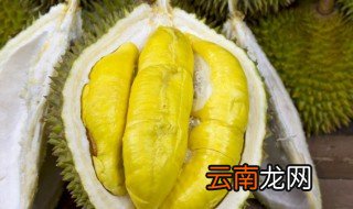 榴莲核怎么煲汤，榴莲核怎么煲汤喝