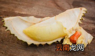 榴莲核可以煲汤吗，榴莲核怎么煲汤什么人都能喝吧