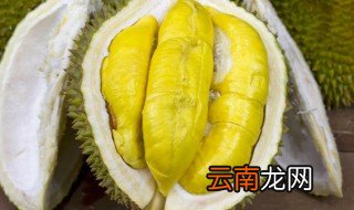 榴莲哪个部位可以煲汤，榴莲那部分可以用来煲汤