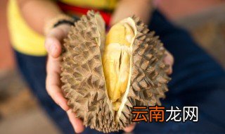 榴莲壳煲鸡怎么煲放什么材料 榴莲壳怎么煲鸡好喝