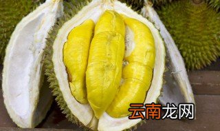 榴莲的皮和核能吃吗 榴莲煲汤是外皮还是里面的核