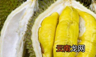 猪骨煲榴莲能放什么药材 榴莲煲猪骨放什么材料