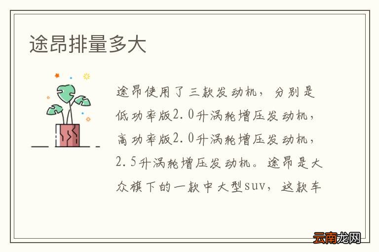 途昂排量多大