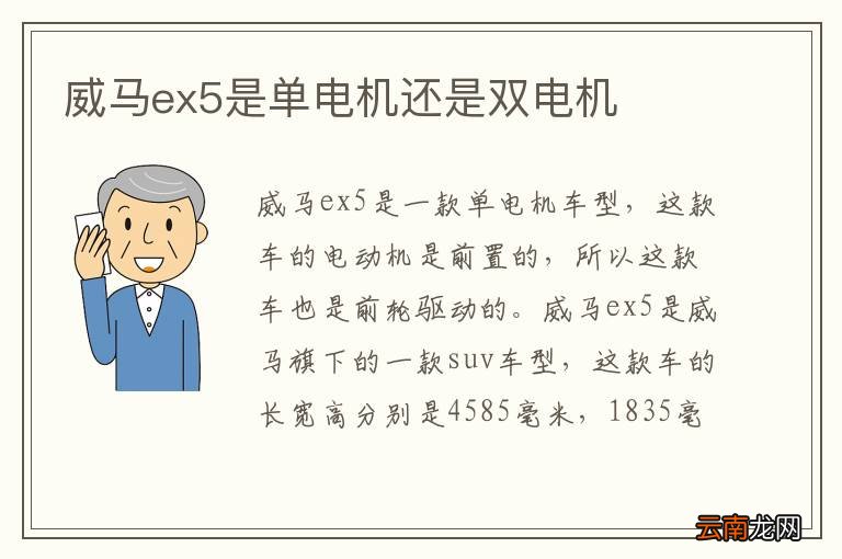 威马ex5是单电机还是双电机