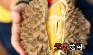 榴莲壳和什么煲汤，榴莲壳和什么煲汤好吃