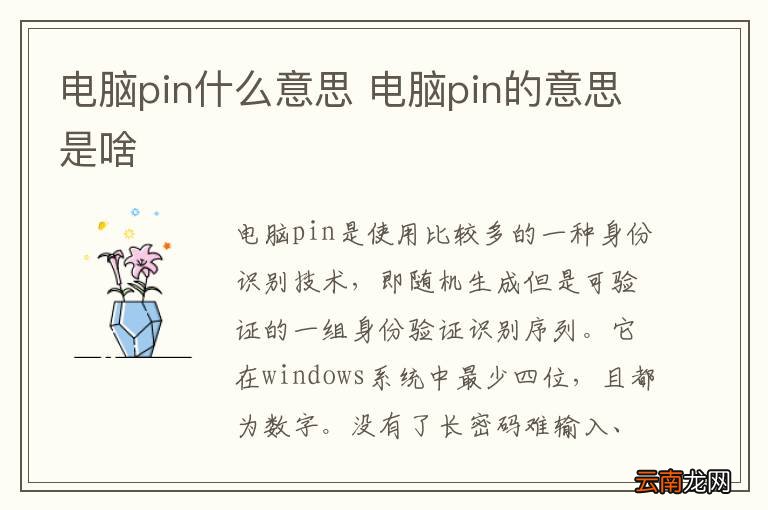 电脑pin什么意思 电脑pin的意思是啥