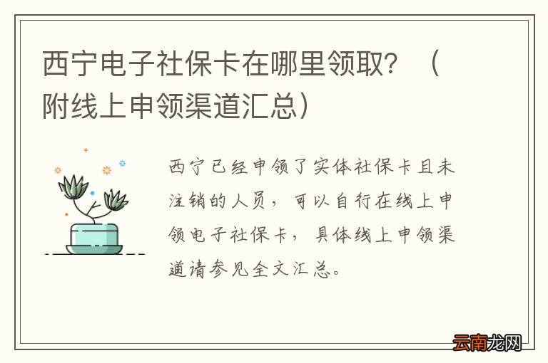附线上申领渠道汇总 西宁电子社保卡在哪里领取？