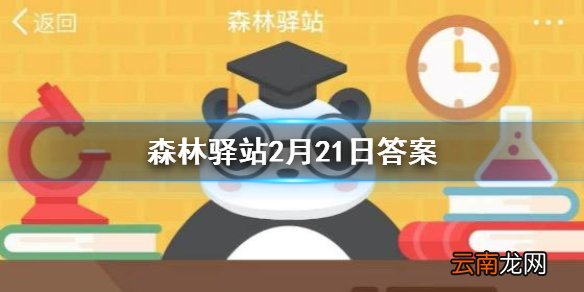 企鹅家族中个体最大的物种是 森林驿站2月21日答案