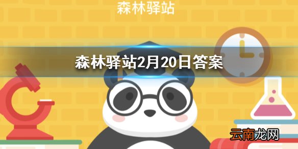奔跑最快的哺乳动物是 森林驿站2月20日答案