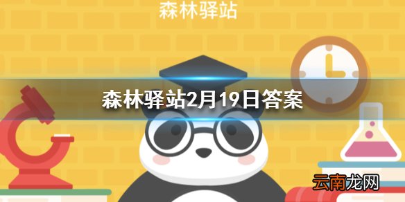 全球最濒危灵长类动物为 森林驿站2月19日答案