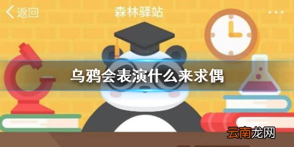 乌鸦会表演什么来求偶 森林驿站2月16日答案