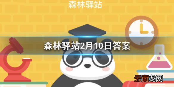企鹅宝宝在爸爸的哪里取暖 森林驿站2月10日答案