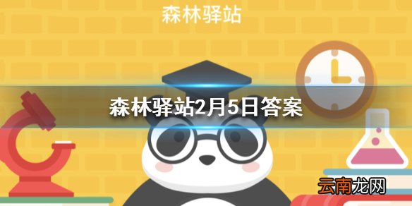 大象是用鼻子喝奶还是用嘴喝奶 森林驿站2月5日答案