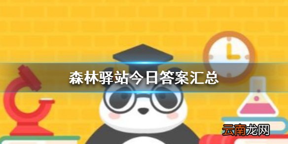 森林驿站今日答案是什么 森林驿站今日答案汇总