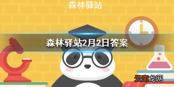 以下哪种鸟被称为老等 森林驿站今日答案