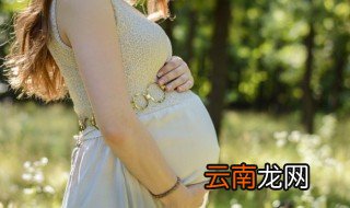 代孕是怎么回事 关于代孕的介绍