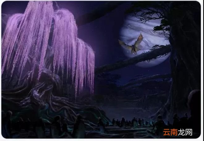 《阿凡达2》最新概念图