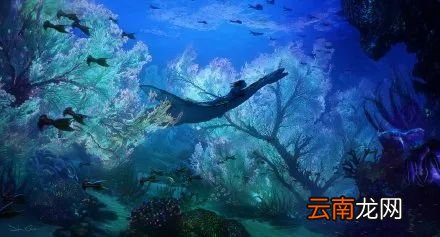 《阿凡达2》最新概念图