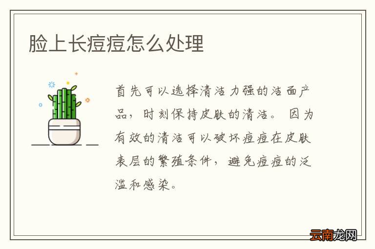 脸上长痘痘怎么处理