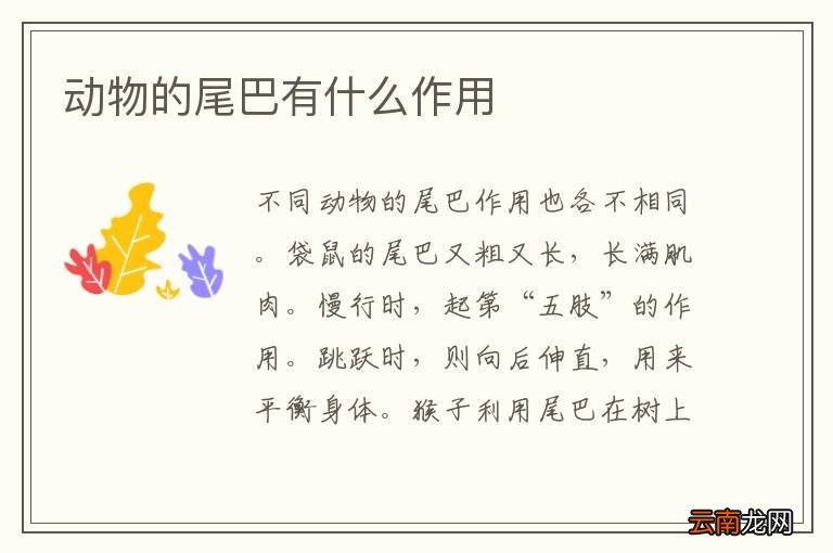 动物的尾巴有什么作用
