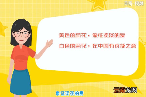 菊花代表什么象征意义 菊花象征什么