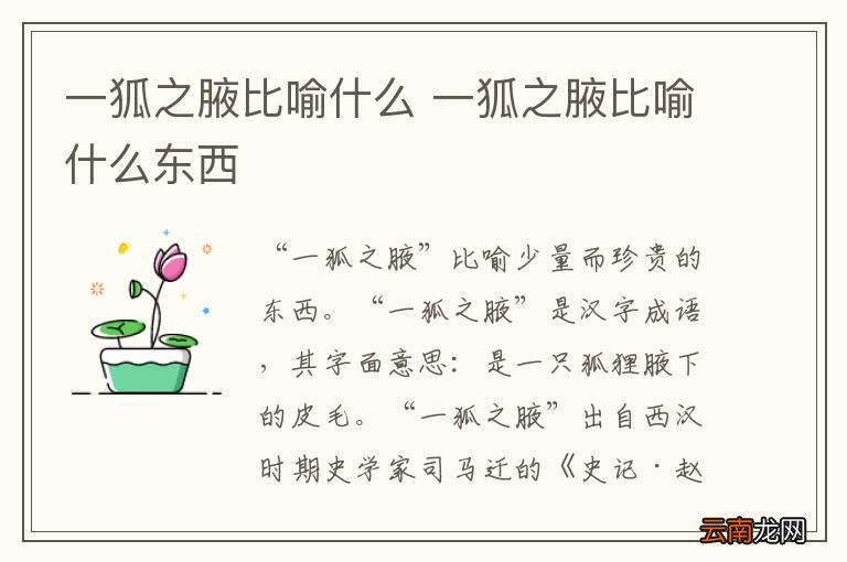 一狐之腋比喻什么 一狐之腋比喻什么东西