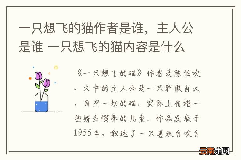 一只想飞的猫作者是谁，主人公是谁 一只想飞的猫内容是什么