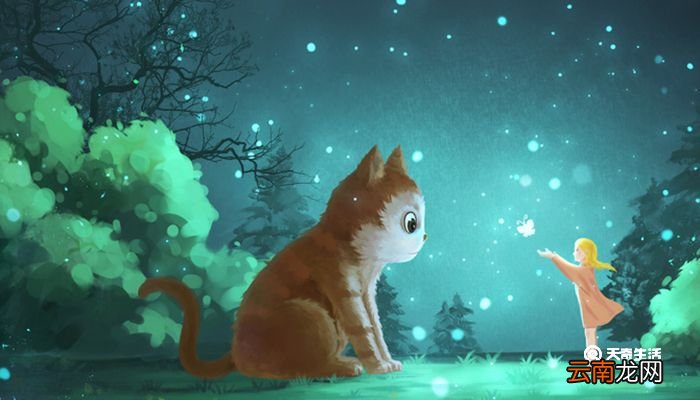 一只想飞的猫作者是谁，主人公是谁 一只想飞的猫内容是什么