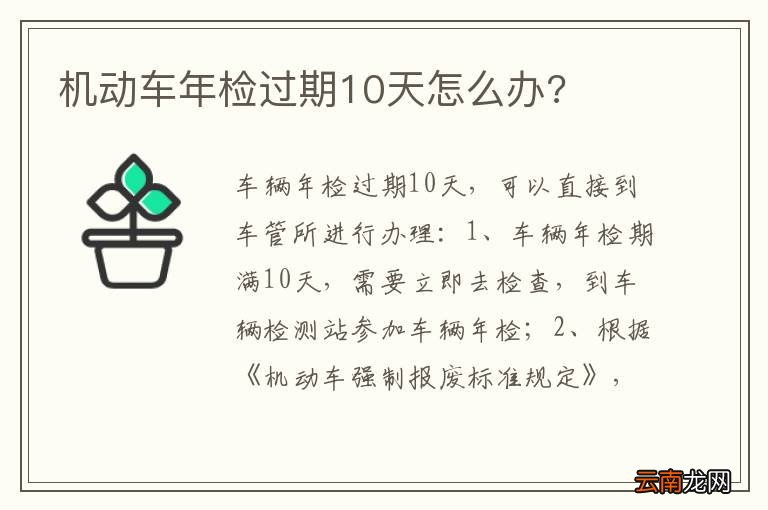 机动车年检过期10天怎么办?