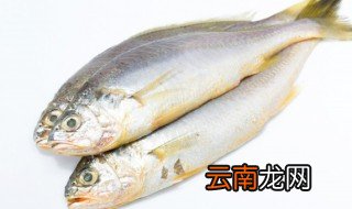 晒干的小黄鱼怎么吃法 晒干的小黄鱼怎么吃法视频