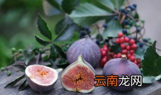鲜无花果怎么晒干，新鲜无花果可以直接晒干吗