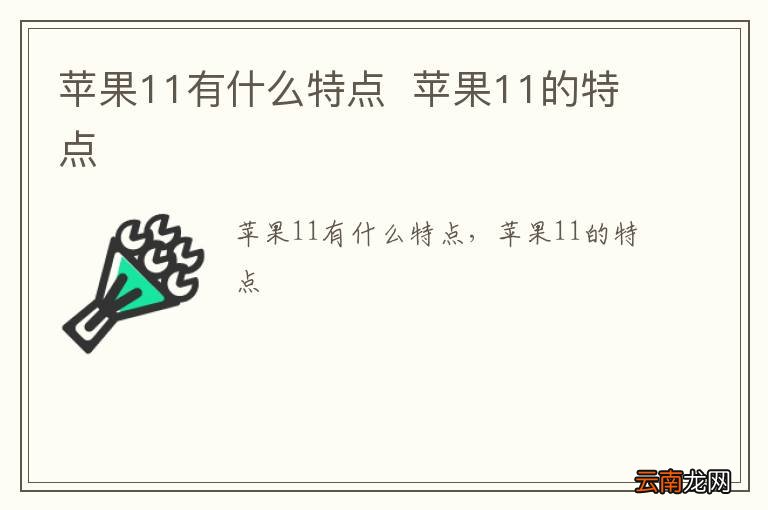 苹果11有什么特点苹果11的特点