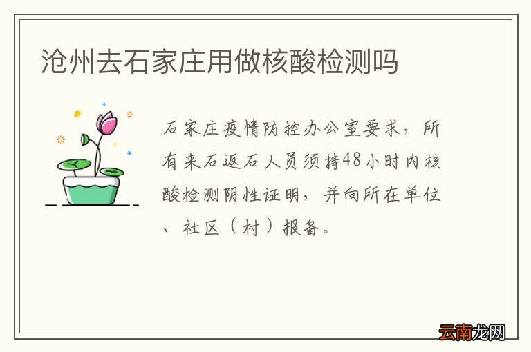 沧州去石家庄用做核酸检测吗