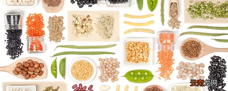 生冷寒凉的食物是指哪些食物 什么食物是生冷食物