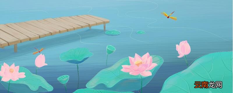 杨万里的小池写了哪四种景物 小池这首诗写了哪几种景物