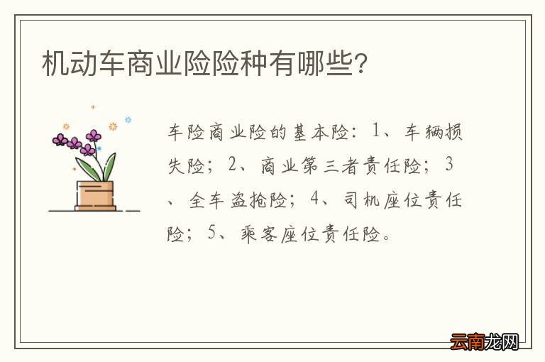 机动车商业险险种有哪些?