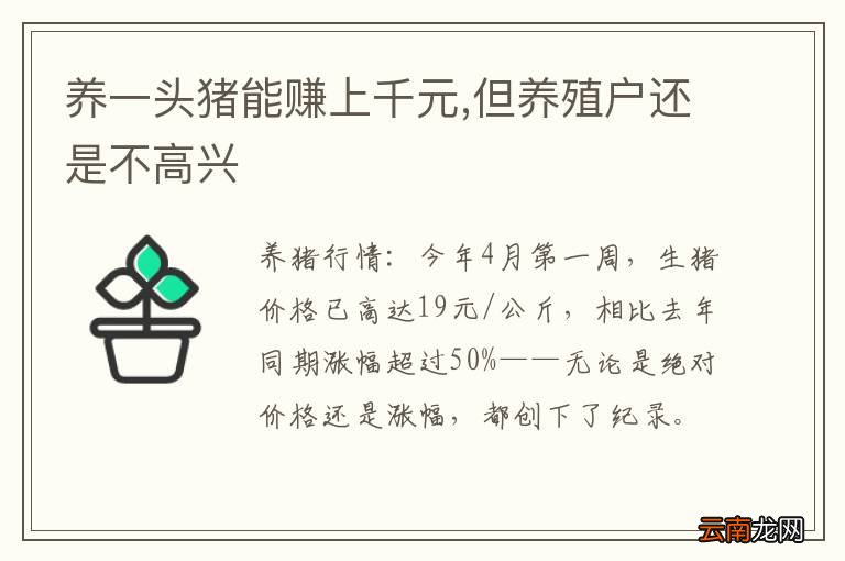 养一头猪能赚上千元,但养殖户还是不高兴