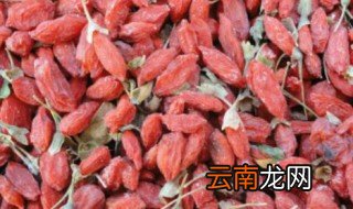 枸杞子怎么晒干的 枸杞干怎么晒干