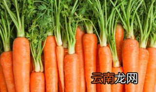 萝卜片怎么晒干 萝卜片晒干怎么做好吃